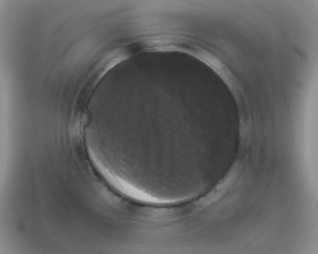 X0000112831289200910021215