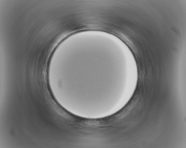 X0000112831291200910021215