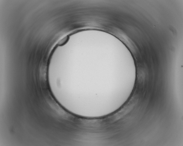 X0000112831292200910021215