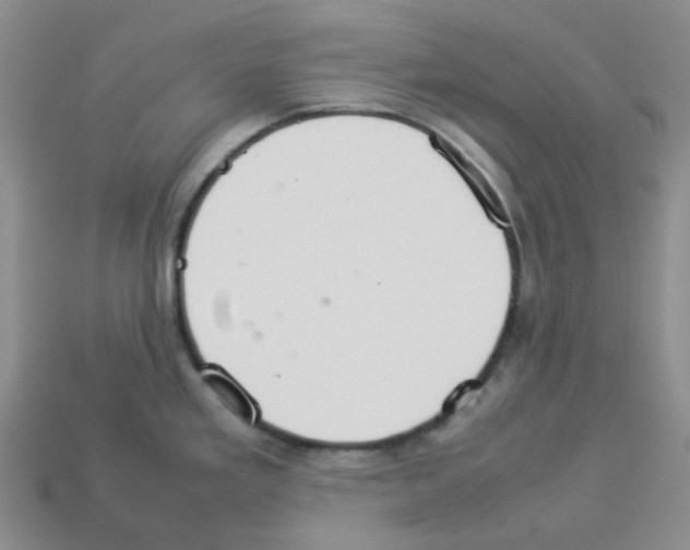 X0000112831293200910021215