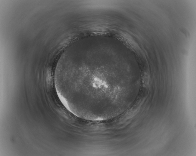 X0000112831298200910021214