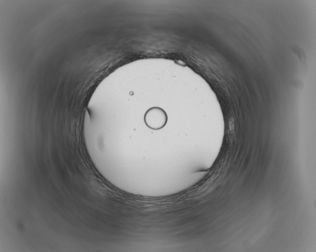 X0000112831300200910021214