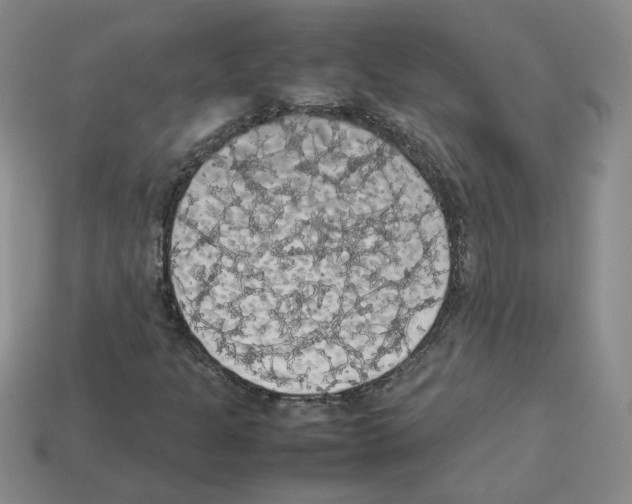 X0000112831301200910021214