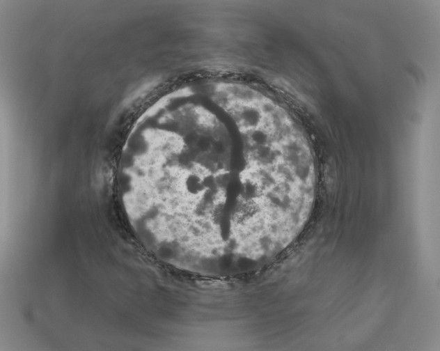 X0000112831302200910021214