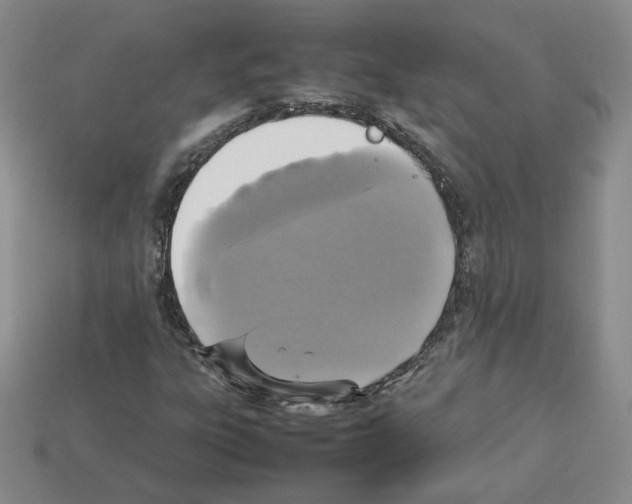 X0000112831303200910021214