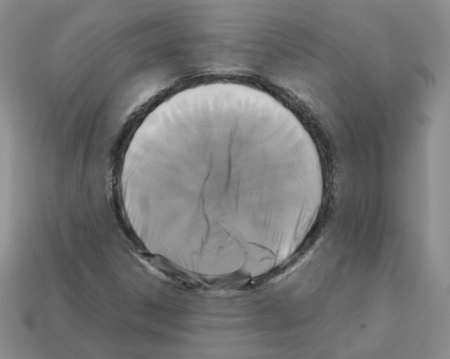 X0000112831306200910021214