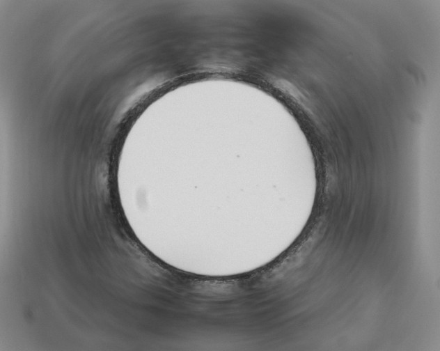 X0000112831307200910021214