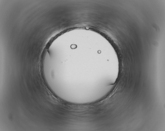 X0000112831308200910021214