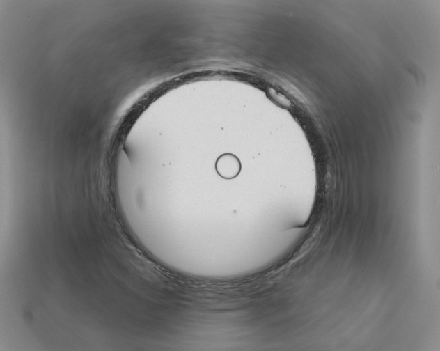 X0000112831310200910021214