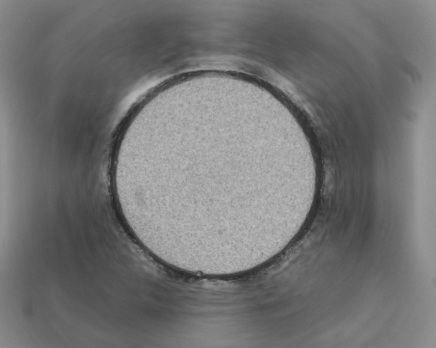 X0000112831312200910021214