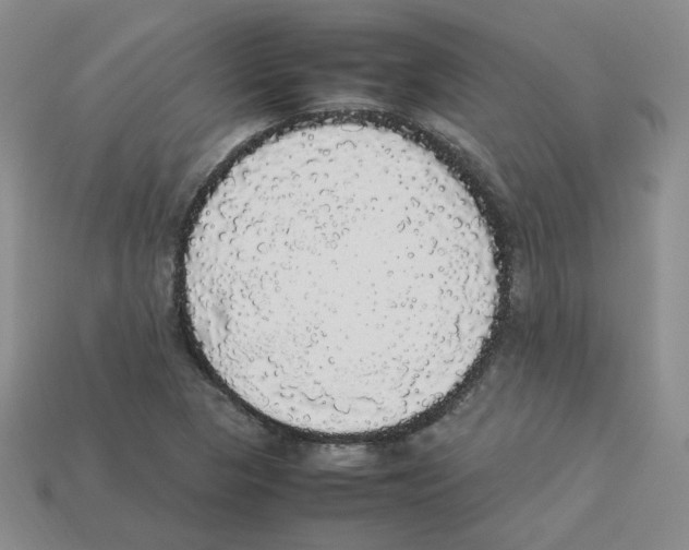 X0000112831313200910021214