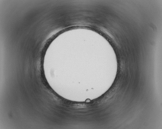 X0000112831315200910021214