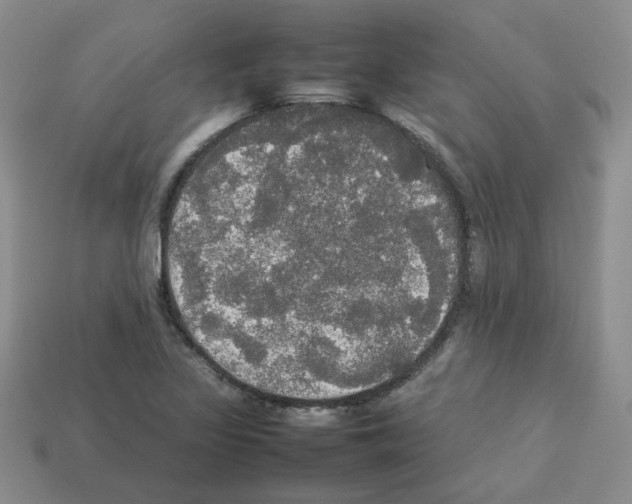 X0000112831317200910021214