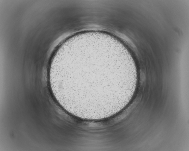 X0000112831318200910021214