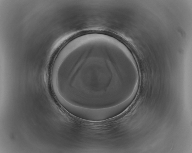 X0000112831319200910021214