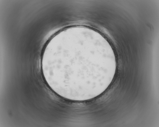 X0000112831320200910021214