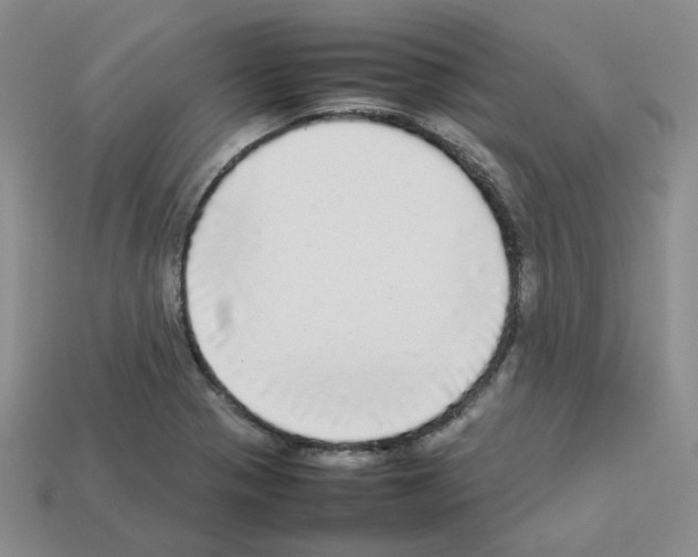 X0000112831321200910021214