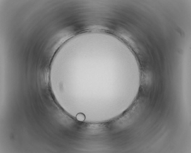 X0000112831322200910021214