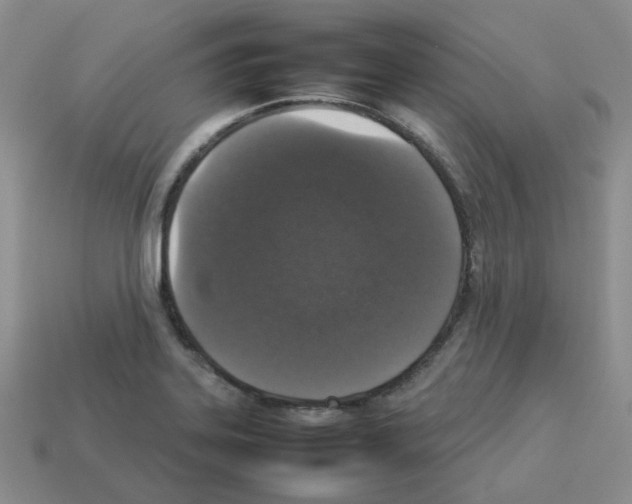 X0000112831323200910021214