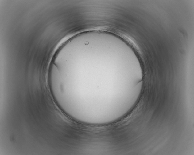 X0000112831324200910021214