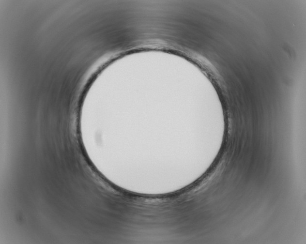 X0000112831326200910021214