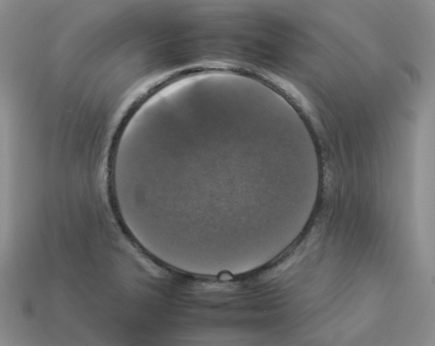 X0000112831327200910021214