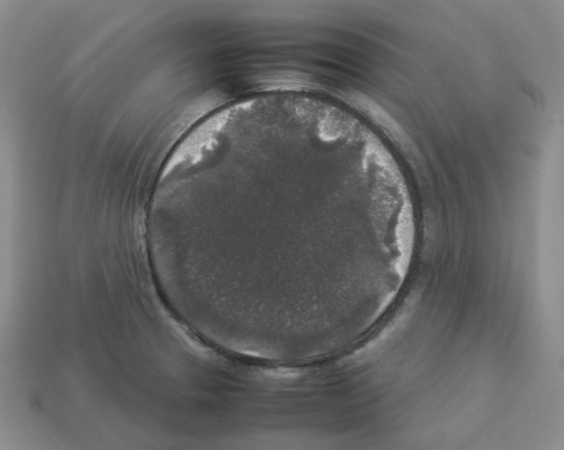 X0000112831329200910021214