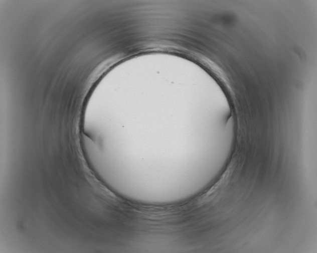 X0000112831330200910021214