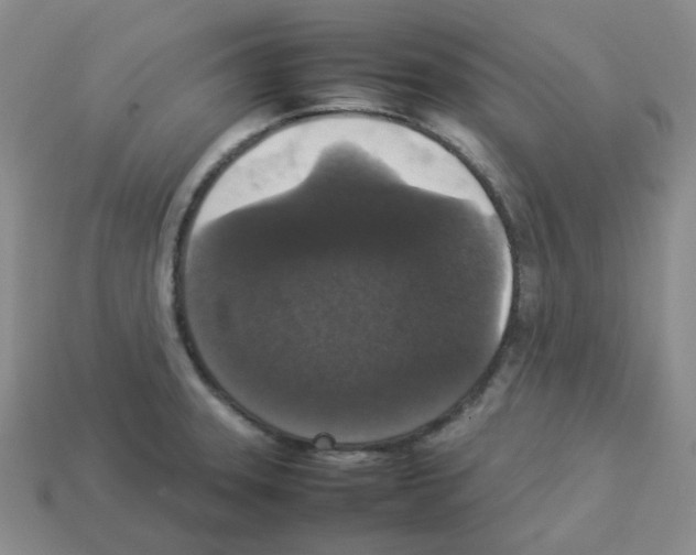 X0000112831331200910021214