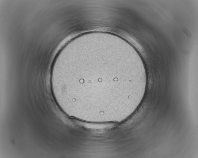 X0000112831332200910021214