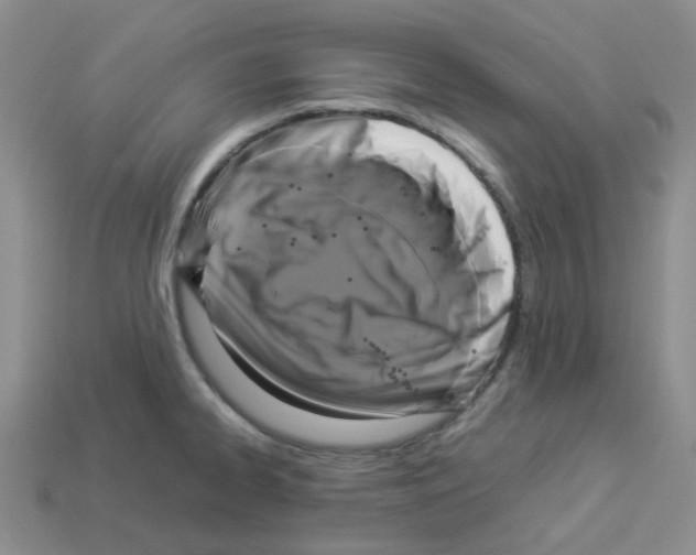 X0000112831334200910021215