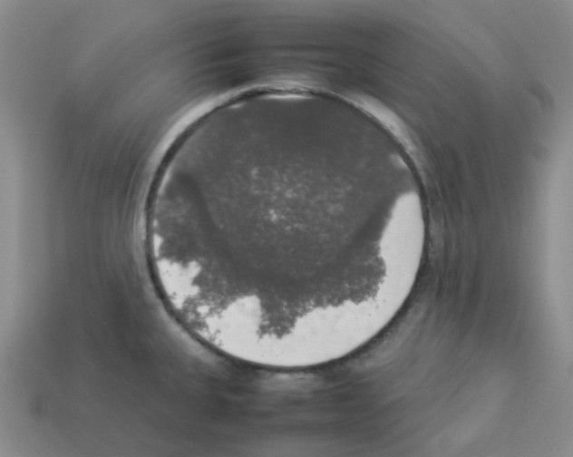 X0000112831335200910021215