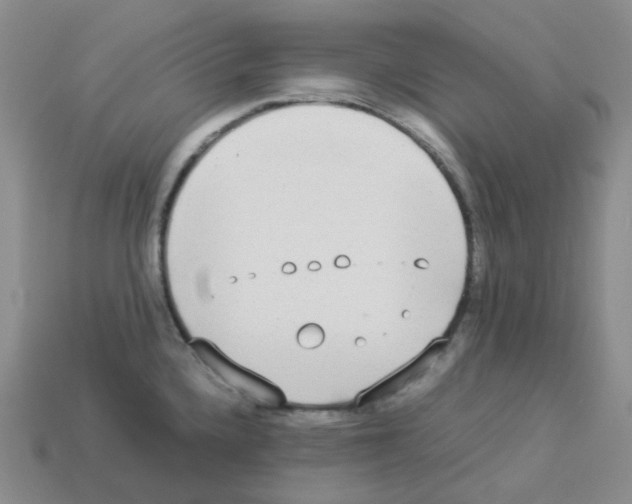 X0000112831336200910021215