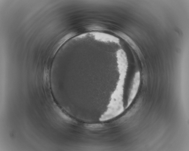 X0000112831337200910021215