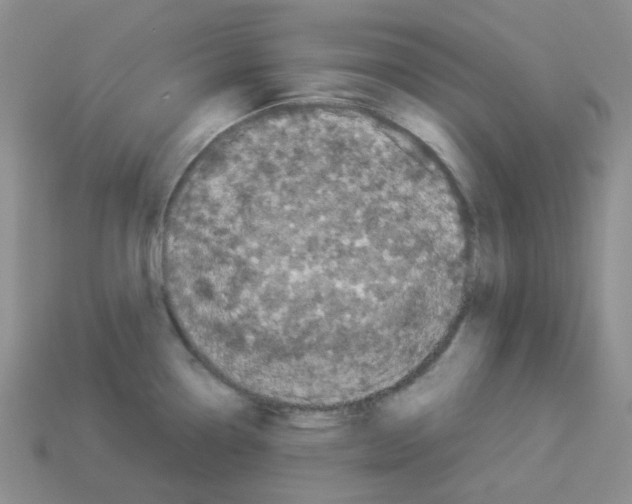 X0000112831338200910021215