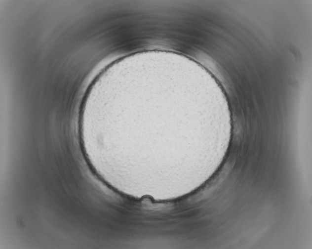 X0000112831339200910021215