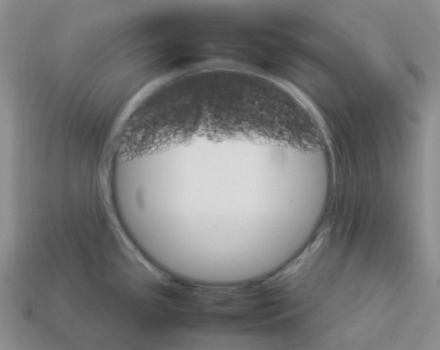 X0000112831341200910021215