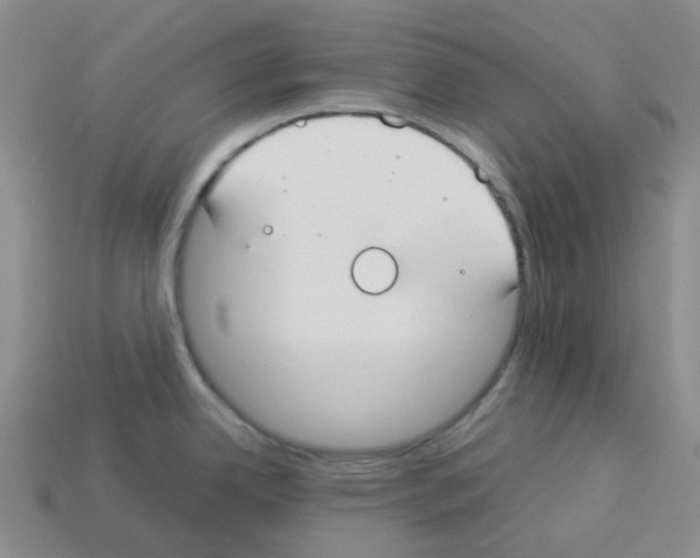 X0000112831342200910021215