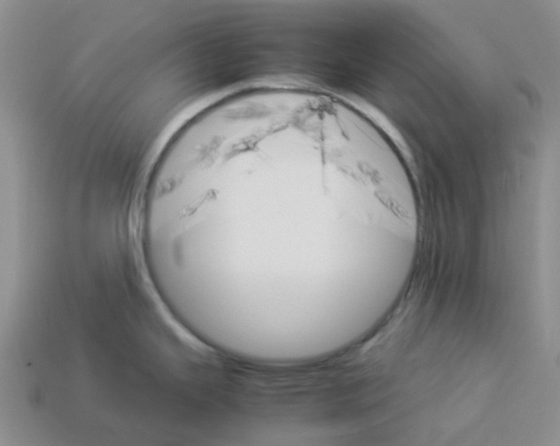 X0000112831343200910021215