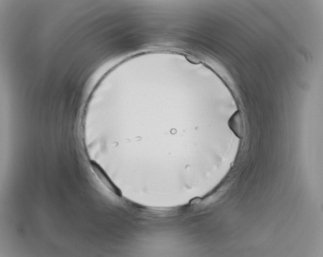 X0000112831344200910021215