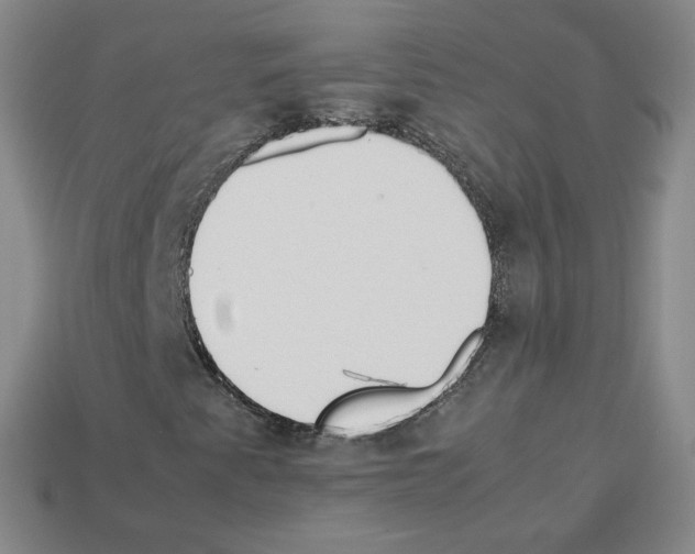 X0000112831345200910021214