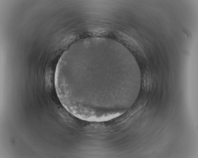 X0000112831346200910021214