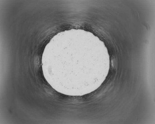 X0000112831347200910021214