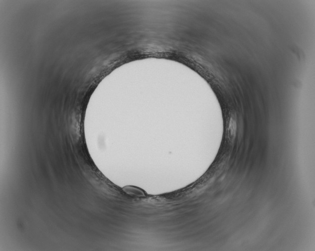 X0000112831348200910021214