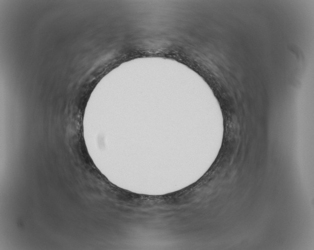 X0000112831349200910021214