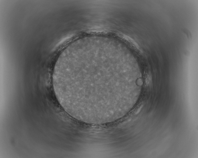 X0000112831350200910021214