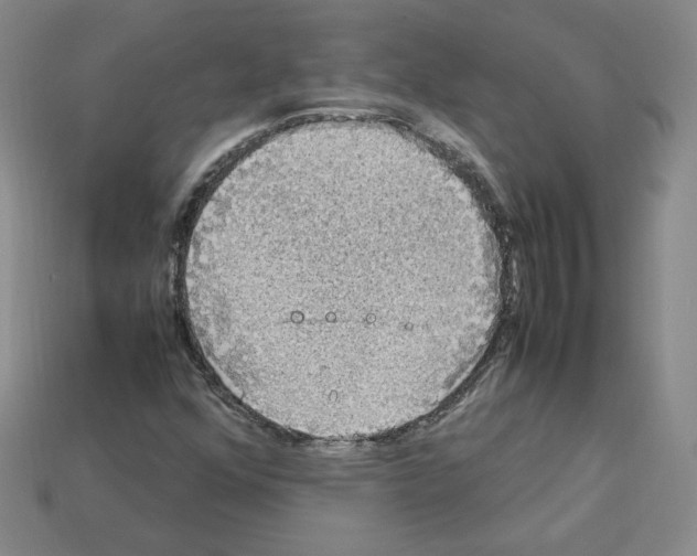 X0000112831352200910021214