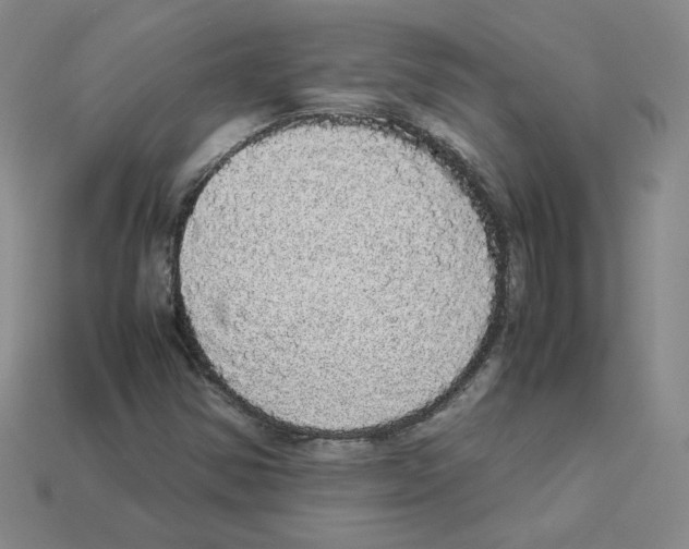 X0000112831354200910021214