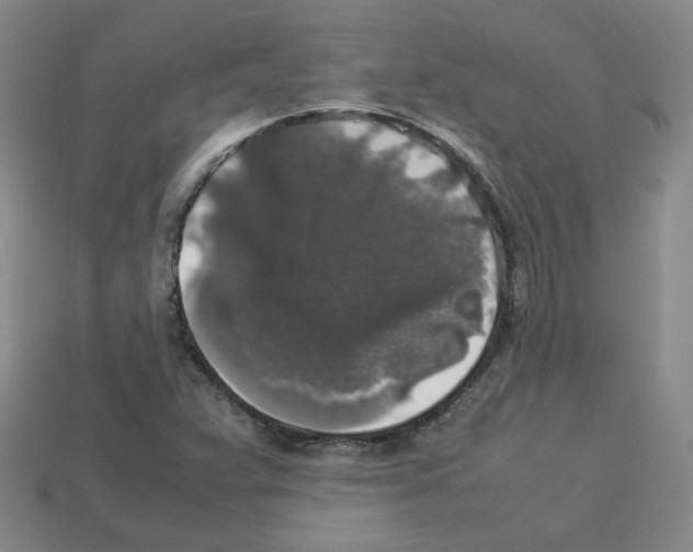 X0000112831359200910021214