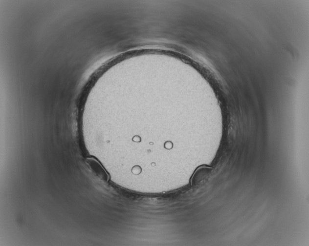 X0000112831360200910021214